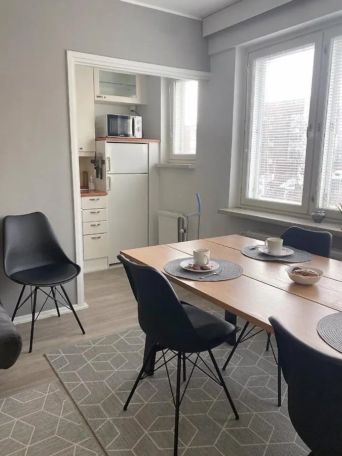 公寓 Scandinavian Home 17 City Center Tyoemiehenkatu 2B 赫尔辛基