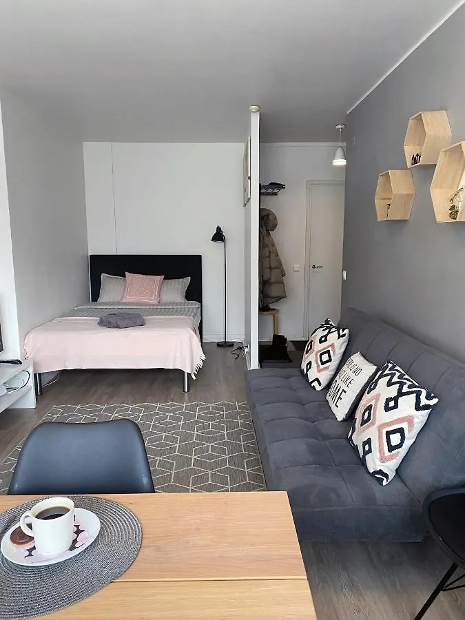 Scandinavian Home 17 City Center Tyoemiehenkatu 2B 赫尔辛基 0*,