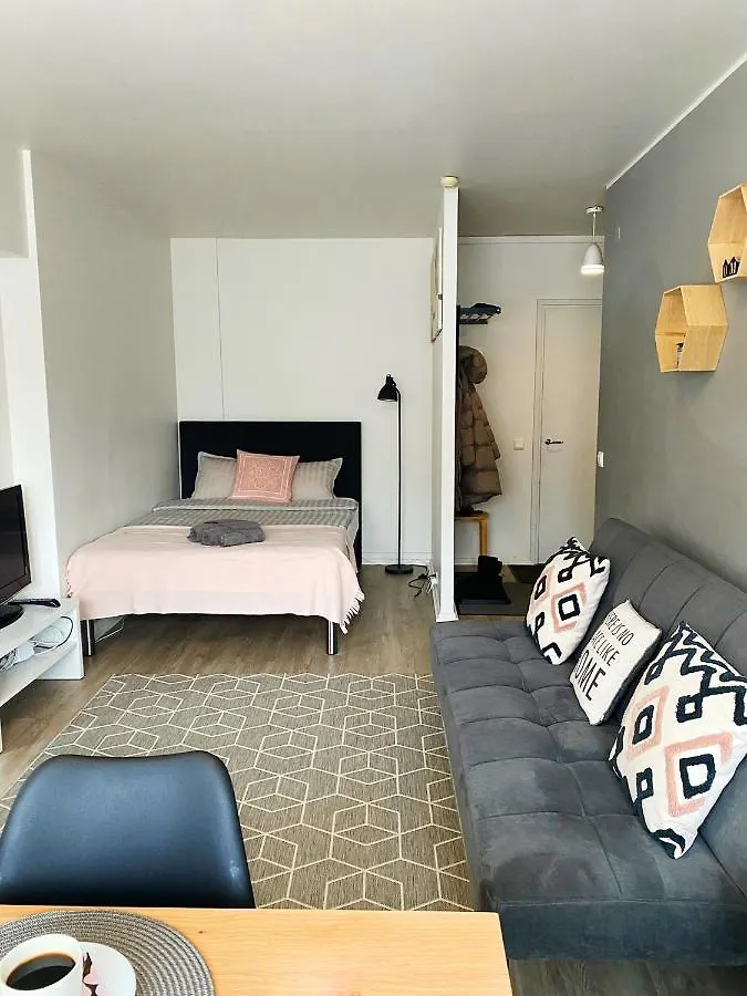 Scandinavian Home 17 City Center Tyoemiehenkatu 2B 赫尔辛基